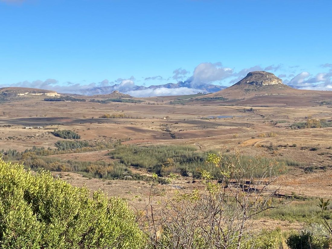 Farm Ranch in Dihlabeng Local Municipality, Free State, South Africa 4 - 18685006