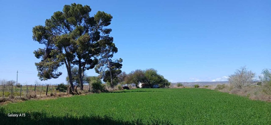 Farm Ranch in Valkfontein 238-Iq, Gauteng, South Africa 2 - 18684966