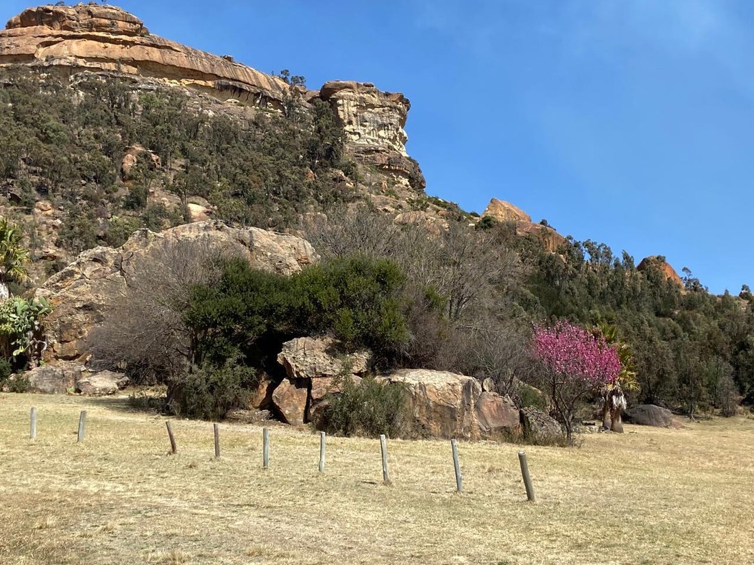 Farm Ranch in Dihlabeng Local Municipality, Free State, South Africa 3 - 18685006