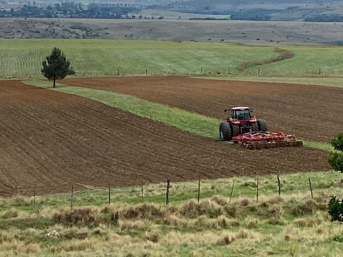 Farm Ranch in Dihlabeng Local Municipality, Free State, South Africa 1 - 18685006