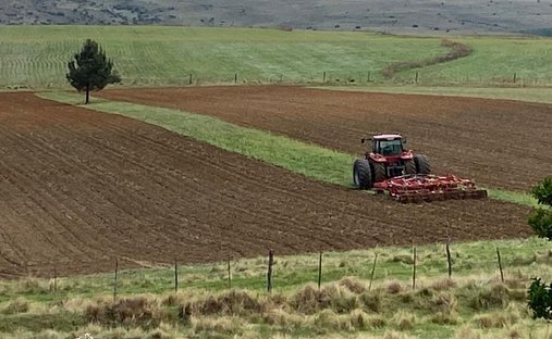 Farm Ranch in Dihlabeng Local Municipality, Free State, South Africa 1