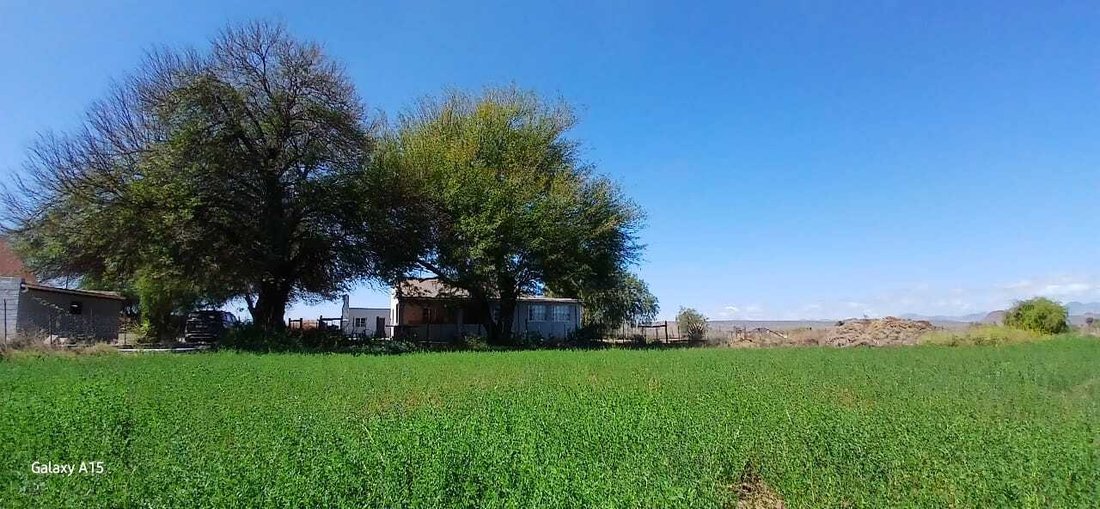 Farm Ranch in Valkfontein 238-Iq, Gauteng, South Africa 5 - 18684966
