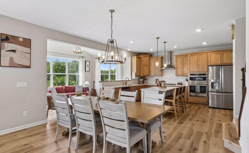 Maison à Circle Pines, Minnesota, États-Unis 1