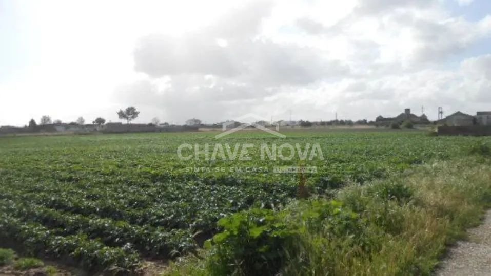 Land in Montijo e Afonsoeiro, Setubal, Portugal 1 - 18685337