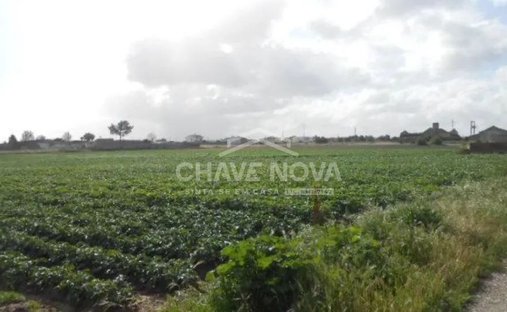 Terreno a Montijo e Afonsoeiro, Setúbal Municipality, Portogallo 1