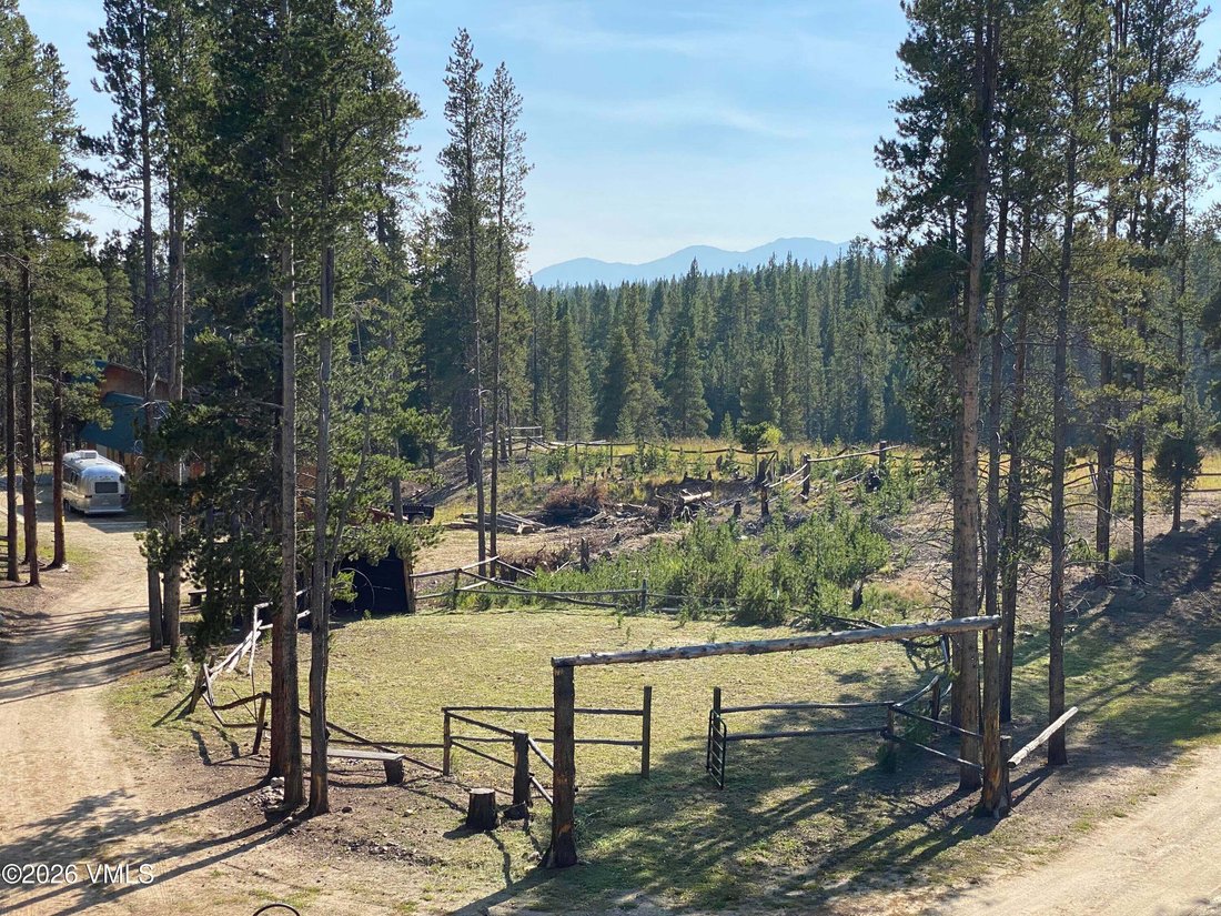 House in Leadville, Colorado, United States 5 - 18684630