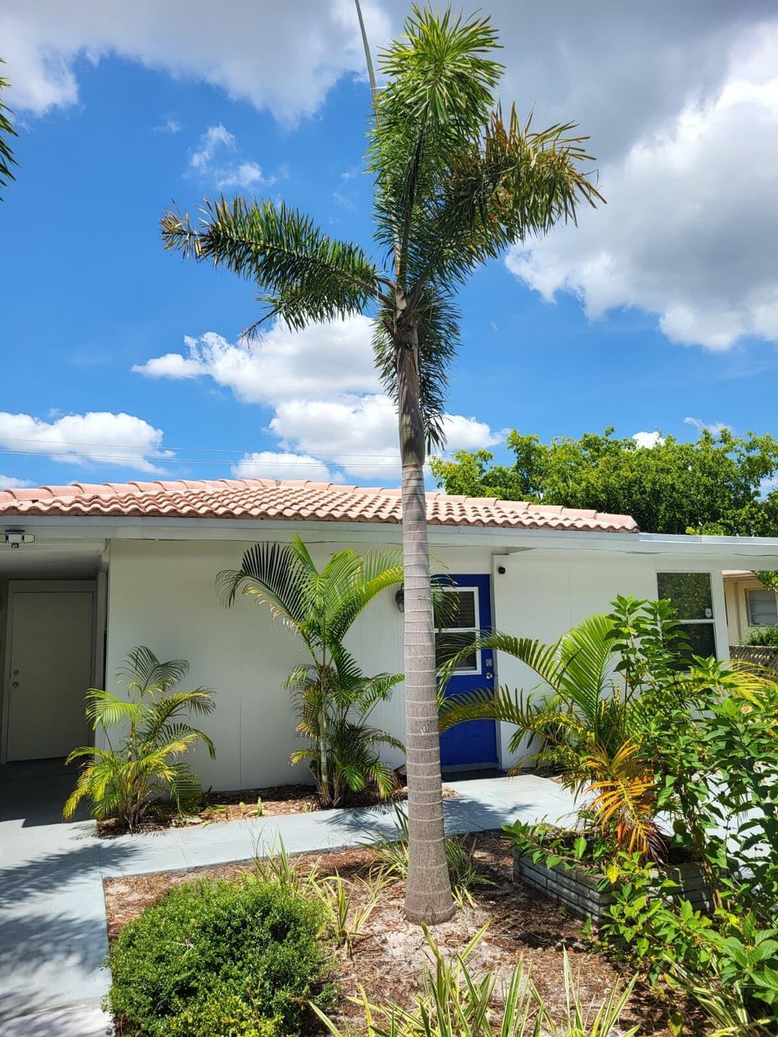 House in Fort Lauderdale, Florida, United States 5 - 18684792