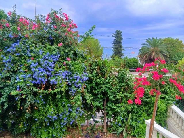 Villa in Brusquet-Retenaou-Devens, Vallauris, France 5 - 17508918