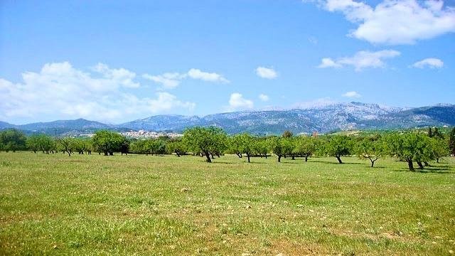 Land in Santa Ponsa, Balearic Islands, Spain 1 - 18684855