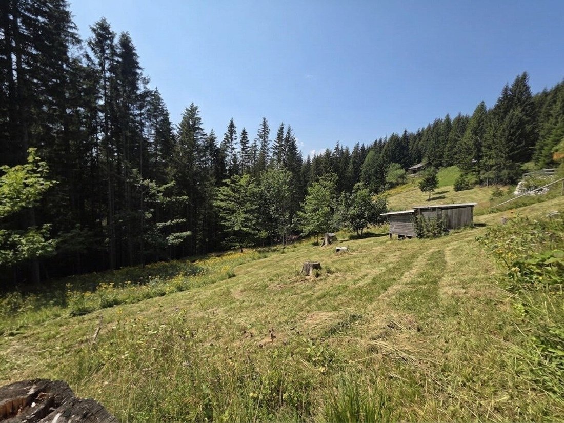 House in Salla, Styria, Austria 5 - 18685880