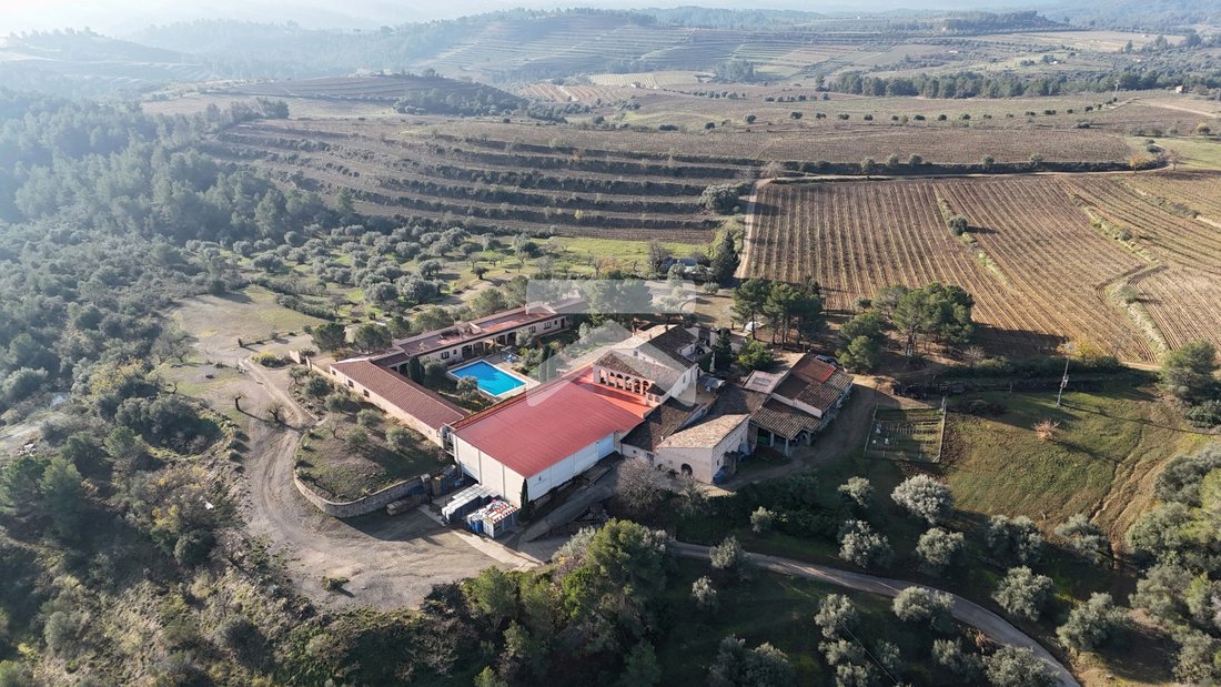 Finca in el Molar, Catalonia, Spain 1 - 14524903