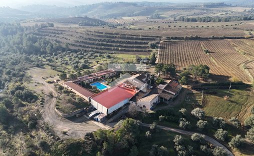 Finca in el Molar, Catalonia, Spain 1