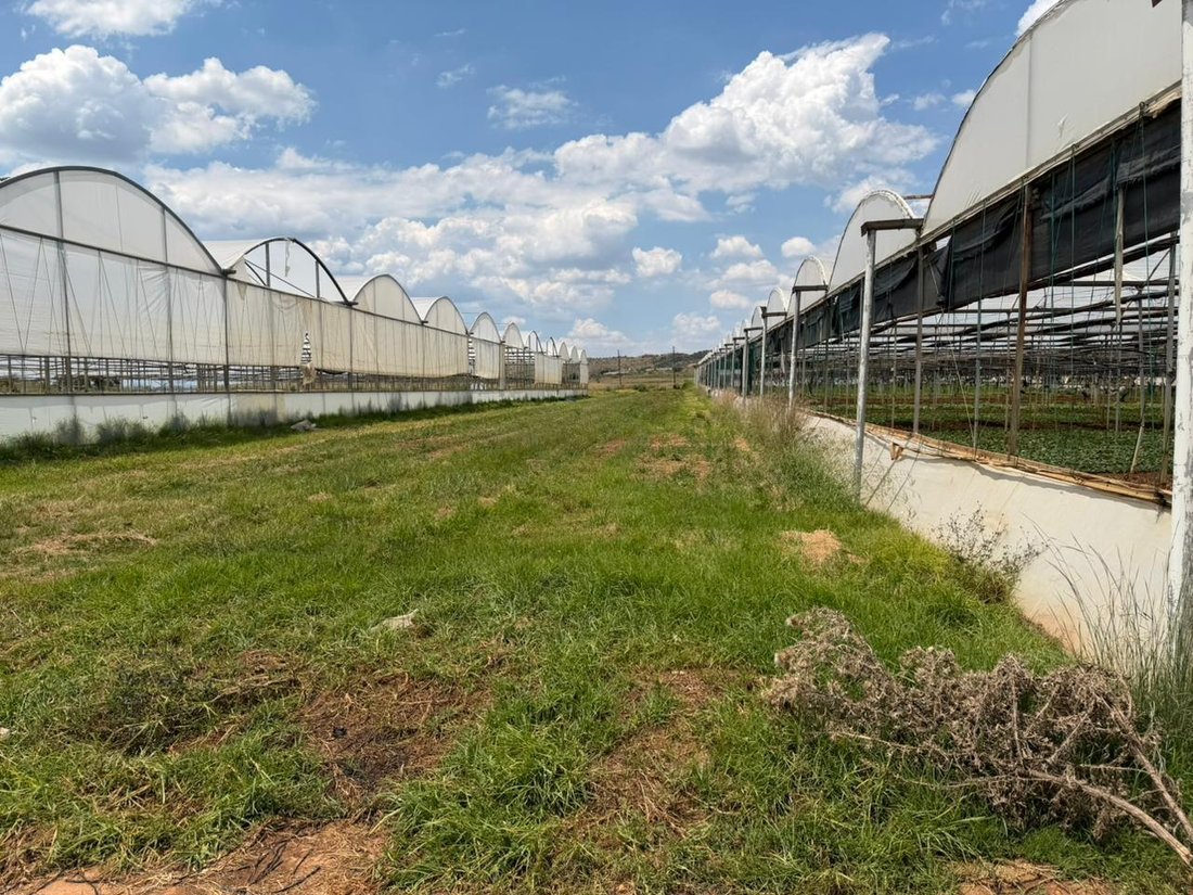 Farm Ranch in Mogale City Local Municipality, Gauteng, South Africa 2 - 18686205