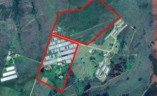 Azienda agricola in Municipalità locale di Mogale City, Gauteng, Sudafrica 1