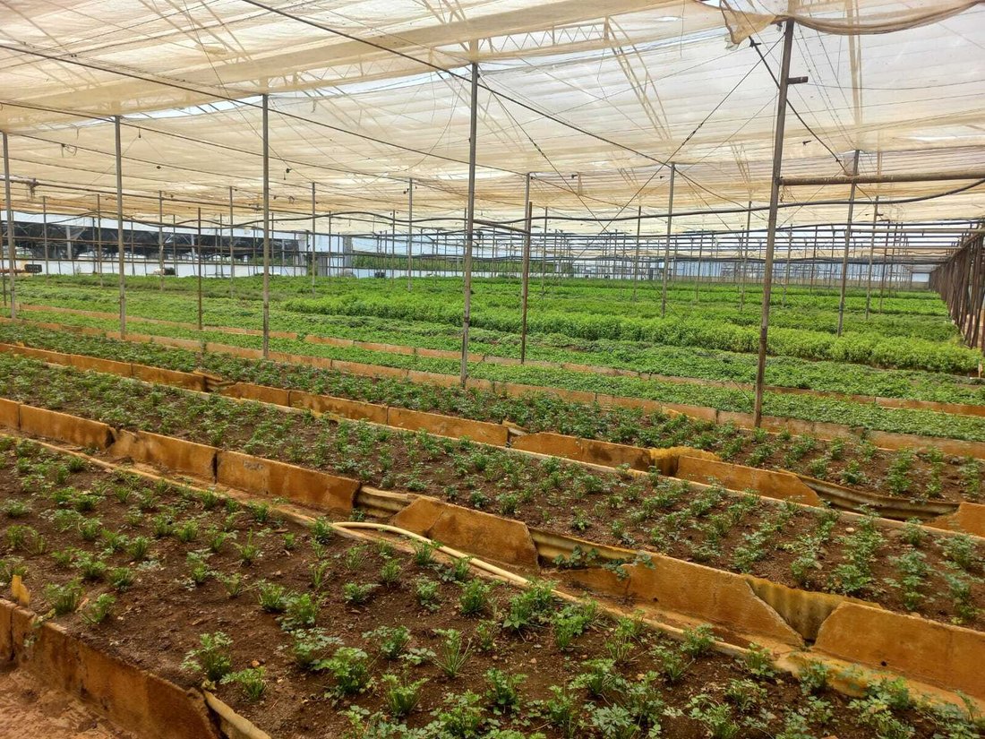 Farm Ranch in Mogale City Local Municipality, Gauteng, South Africa 3 - 18686205
