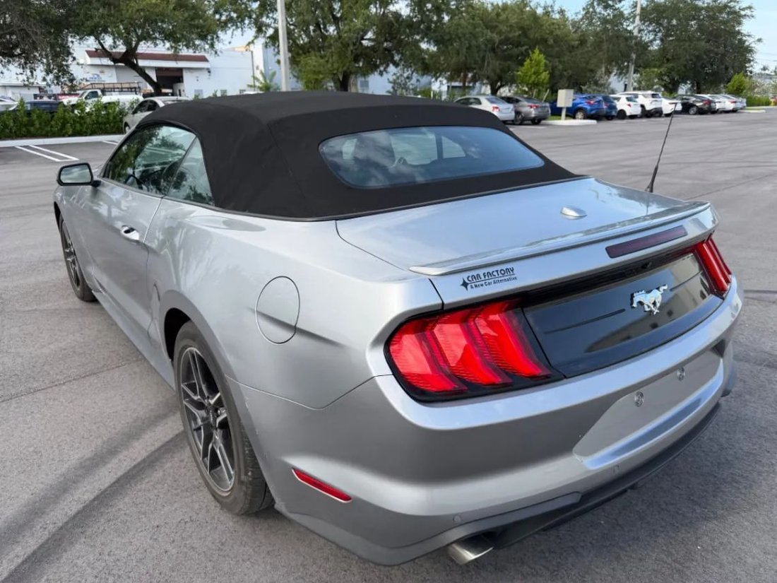 Cabriolet in Miami, FL, United States 4 - 18686163