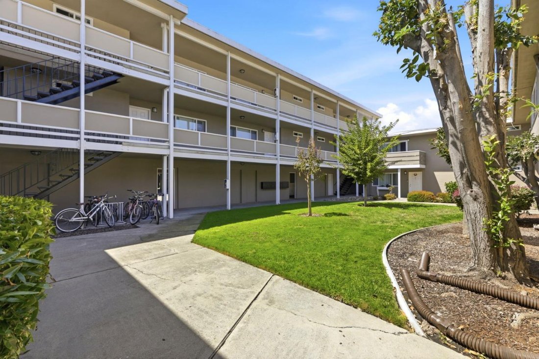 Mountain View, California, United States 5 - 18689709