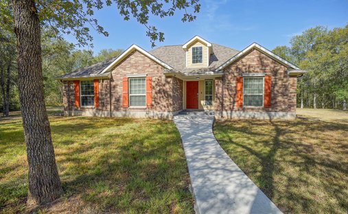 Casa a Cedar Creek, Texas, Stati Uniti 1