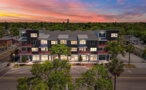 Townhouse in St. Petersburg, Florida, United States 1
