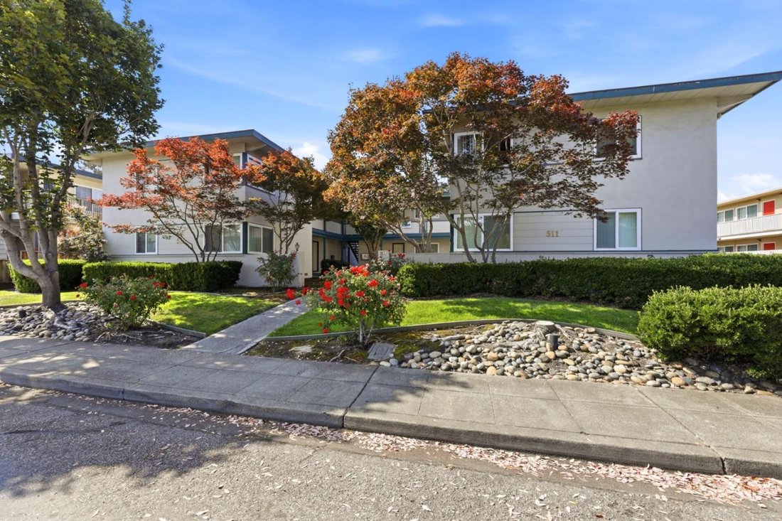 Mountain View, California, United States 2 - 18689719