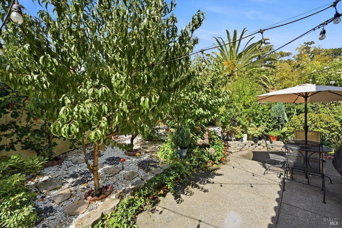 House in Novato, California, United States 4 - 18691337