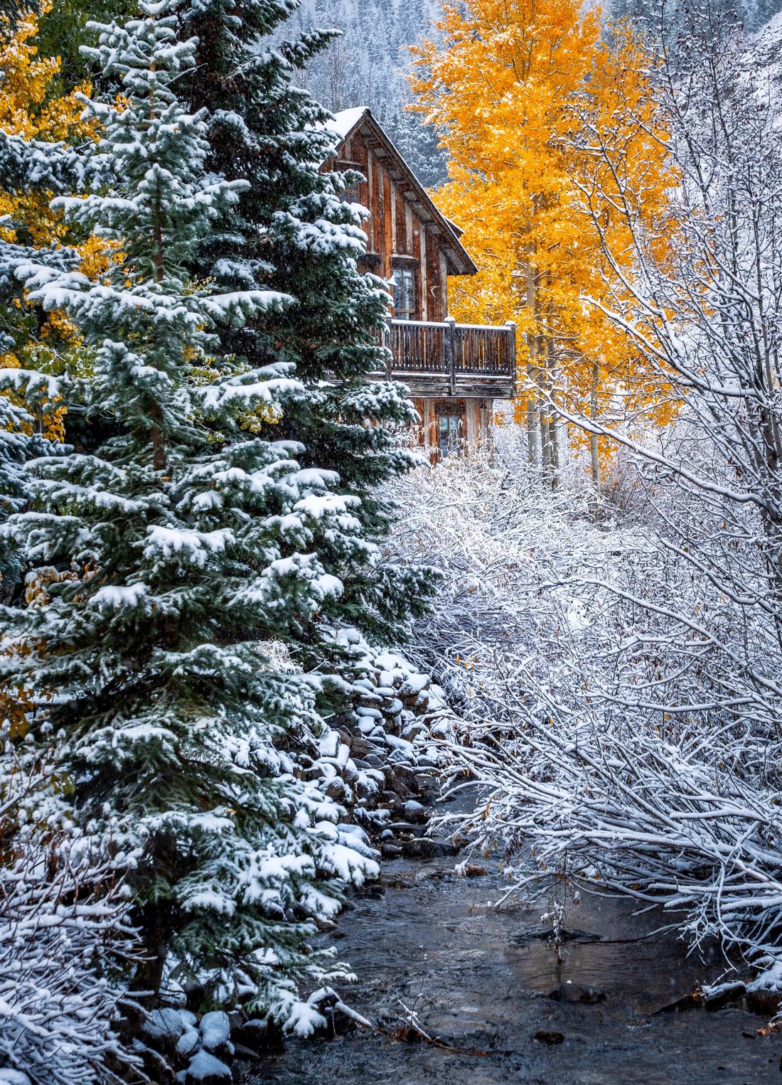 Maison à Crested Butte, Colorado, États-Unis 2 - 18110738