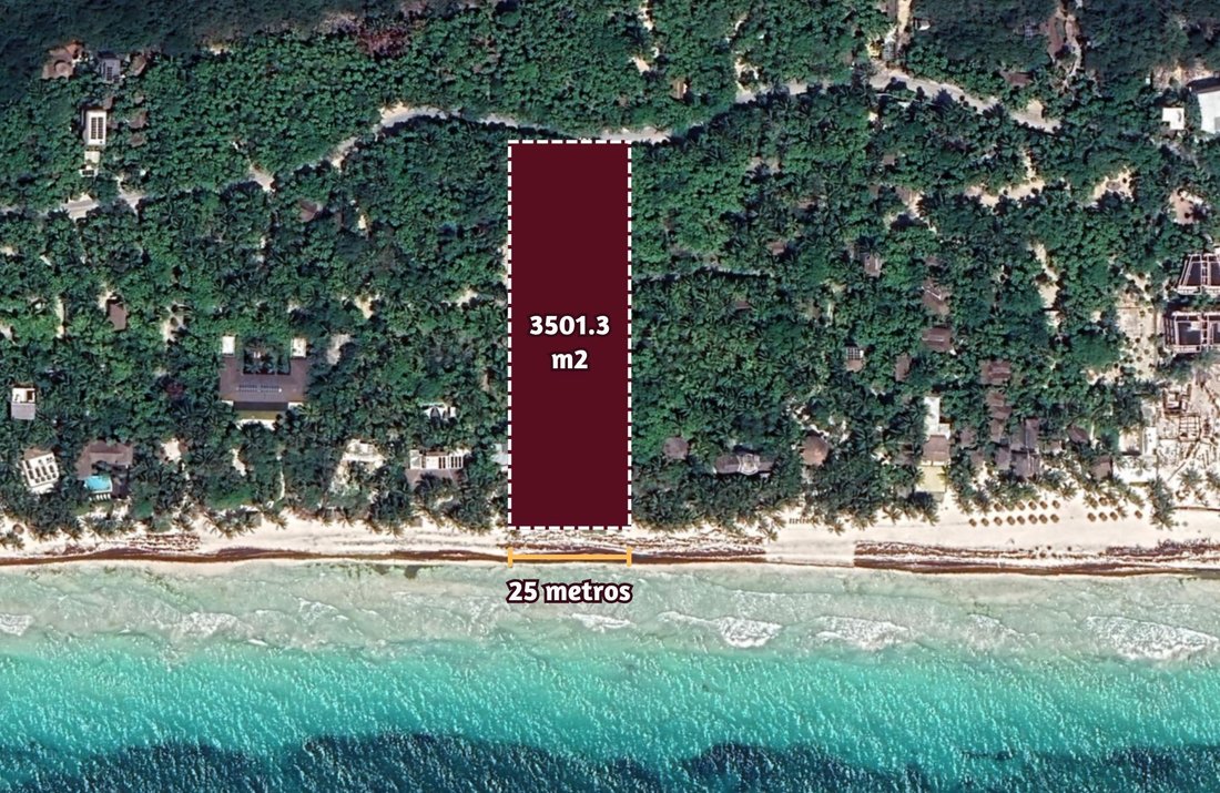 Land in Tulum, Quintana Roo, Mexico 3 - 18691102