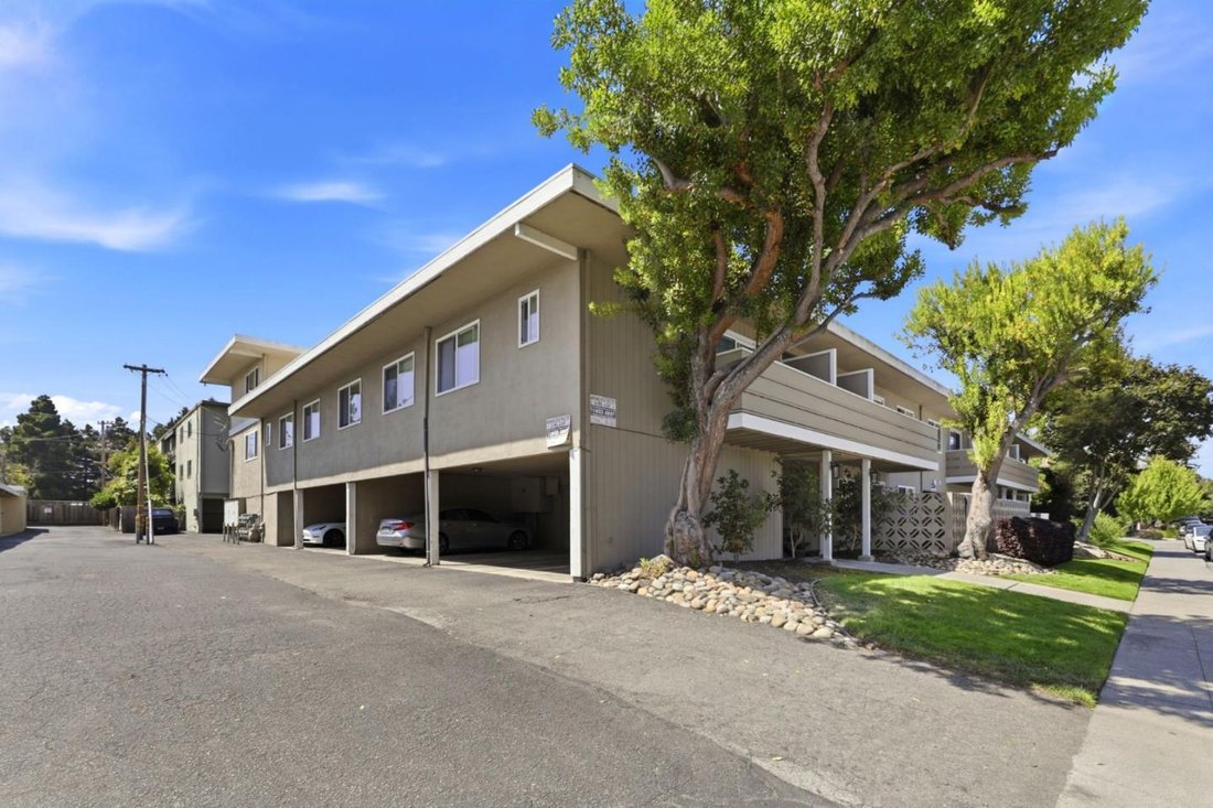 Mountain View, California, United States 4 - 18689709