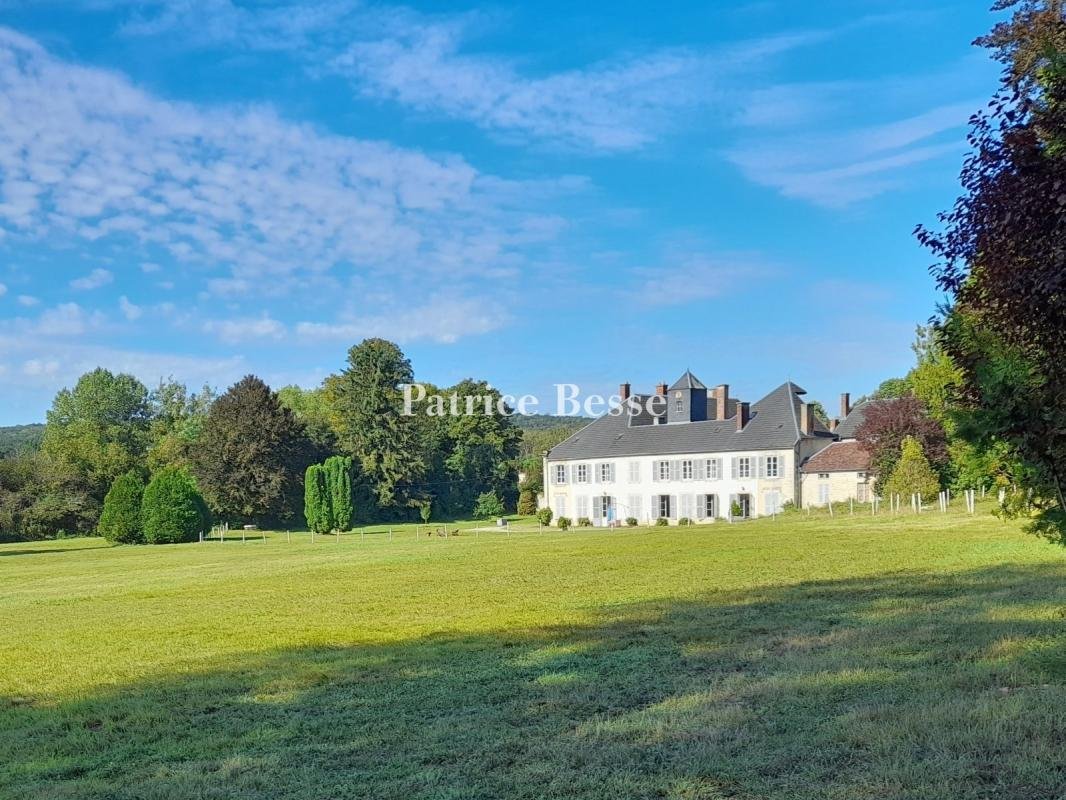 Castle in Bar-sur-Aube, Grand Est, France 1 - 13672222