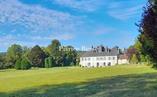 Castle in Bar-sur-Aube, Grand Est, France 1