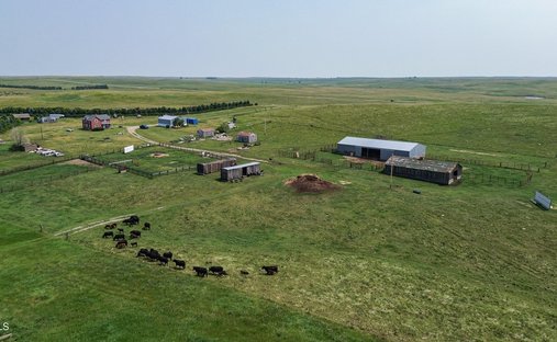 Azienda agricola a Wing, Dakota del Nord, Stati Uniti 1