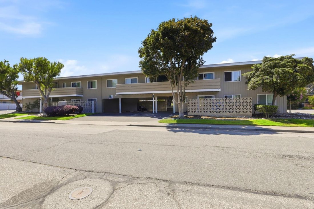 Mountain View, California, United States 1 - 18689709