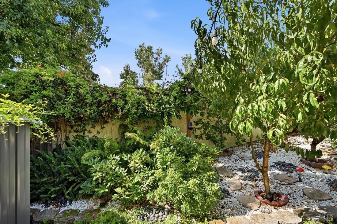 House in Novato, California, United States 5 - 18691337