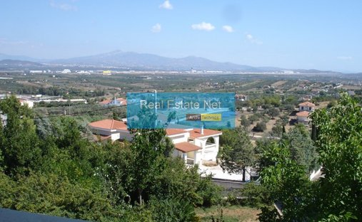 House in Markopoulo Mesogaias, Attica, Greece 1