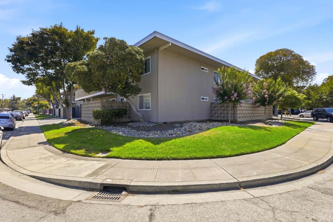 Mountain View, California, United States 3 - 18689709