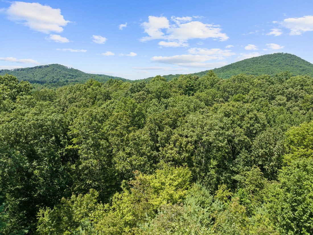 Casa en Mineral Bluff, Georgia, Estados Unidos 2 - 17533118