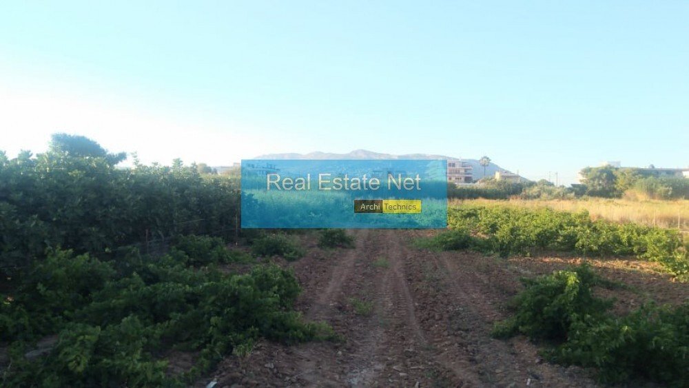 Land in Markopoulo Mesogaias, Attica, Greece 2 - 18687990