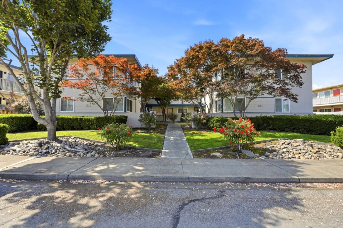 Mountain View, California, United States 1 - 18689719