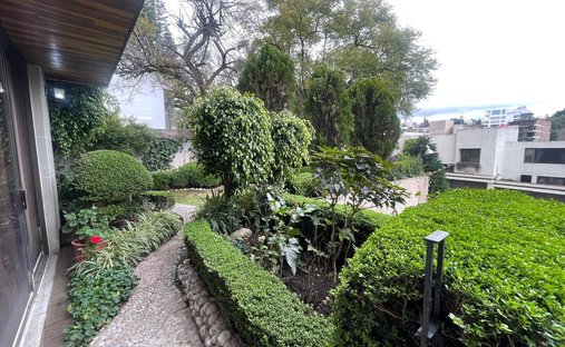 House in Mexico City, Mexico 1
