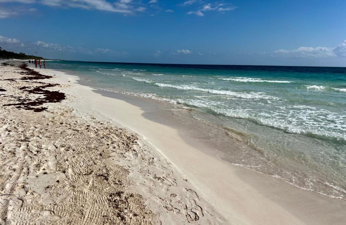 Land in Tulum, Quintana Roo, Mexico 4 - 18691102