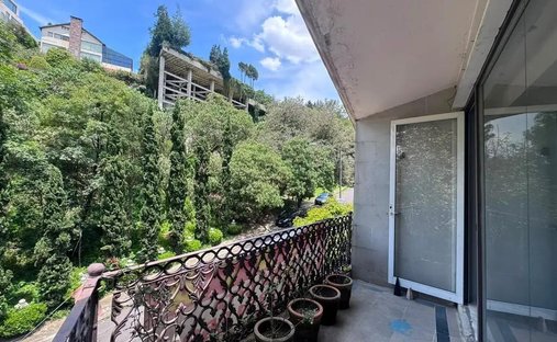 House in Mexico City, Mexico 1