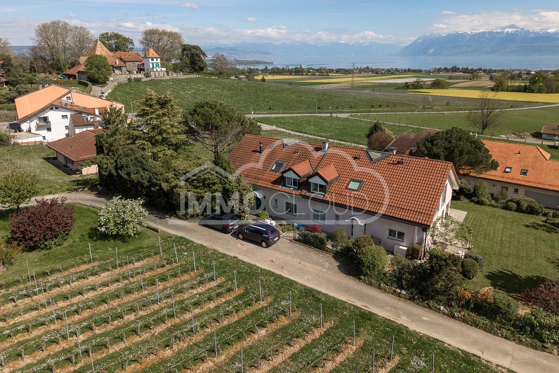 House in Denens, Vaud, Switzerland 3 - 18580738