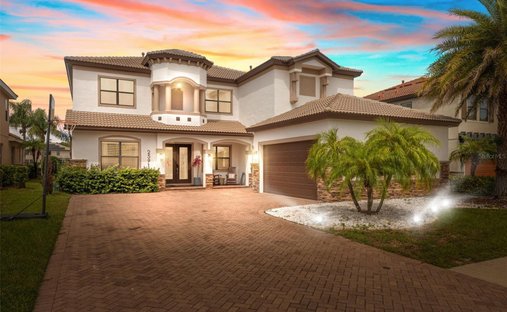 House in Palm Harbor, Florida, United States 1