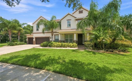 House in Lutz, Florida, United States 1