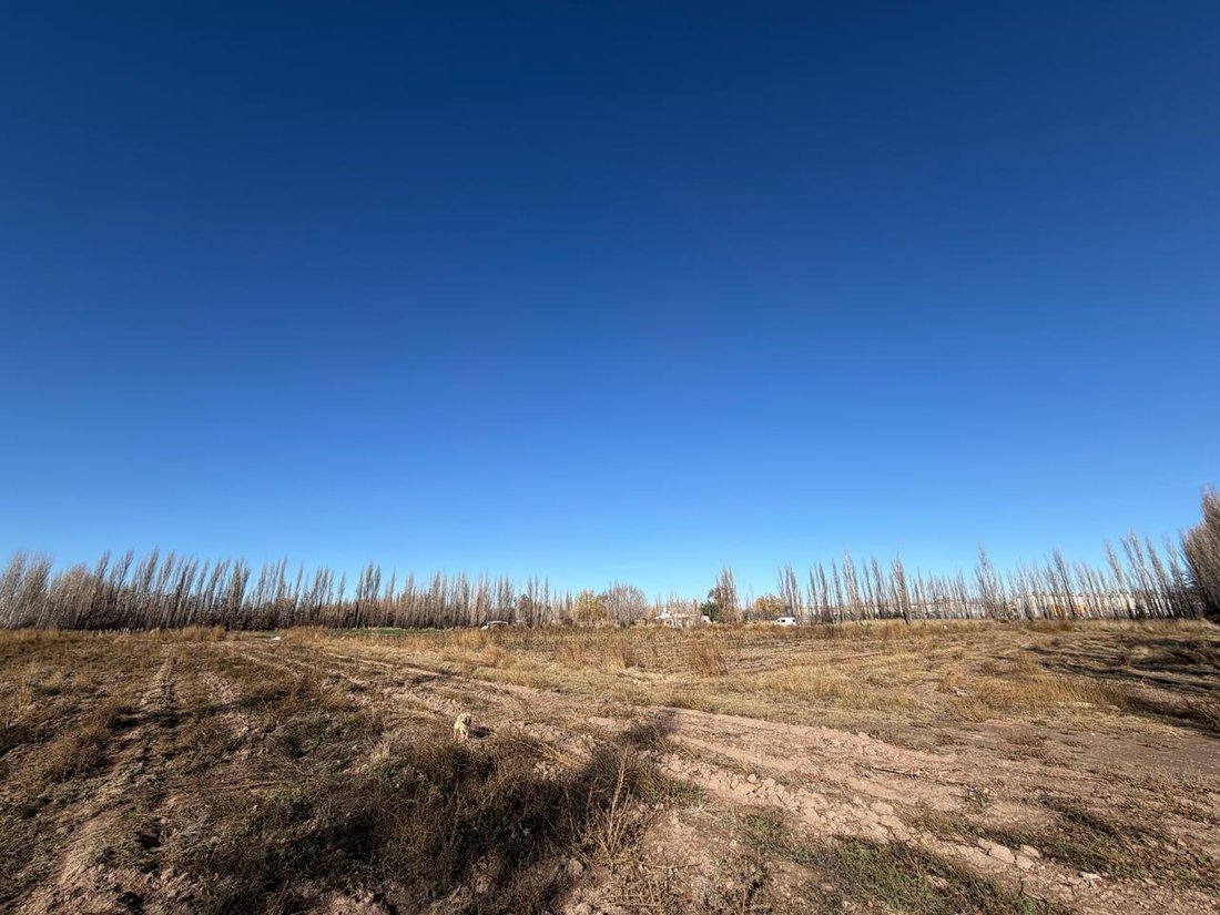 Land in Neuquen, Neuquen, Argentina 3 - 18688715