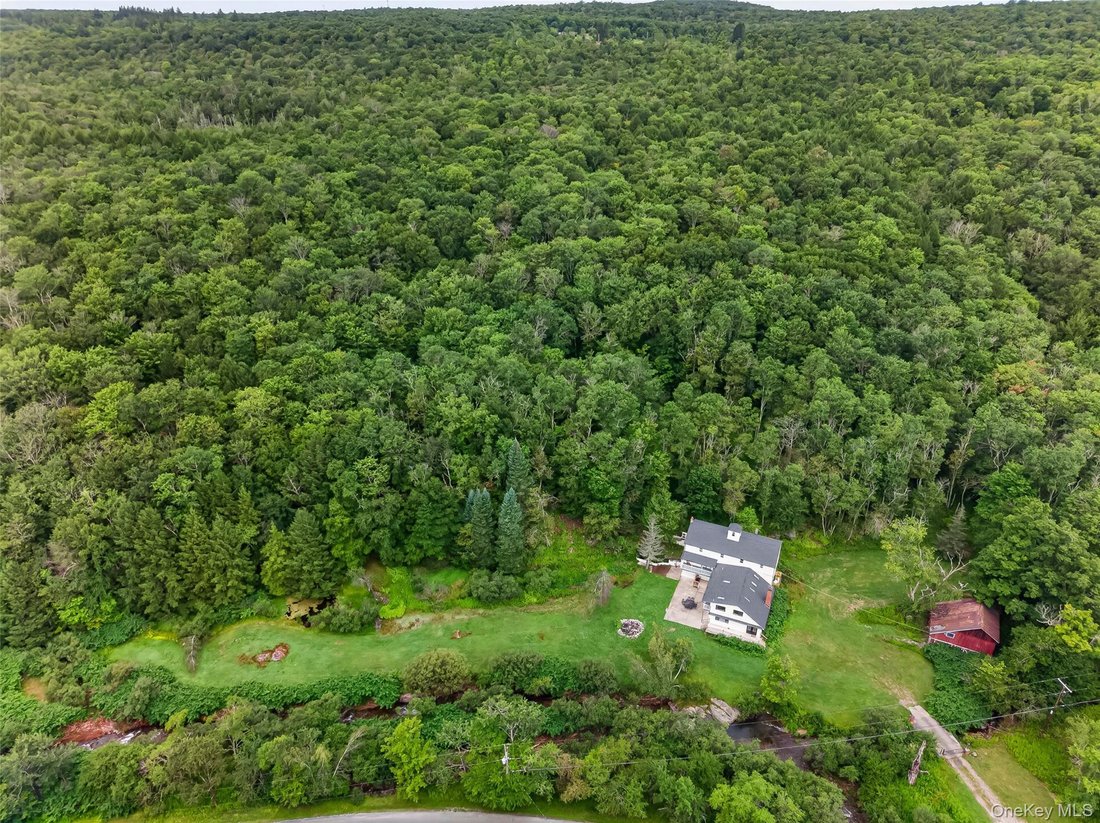 House in Livingston Manor, New York, United States 3 - 18358445