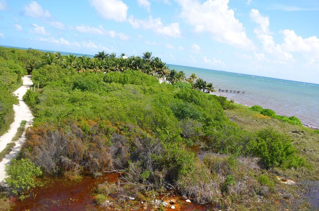 Land in Caracol, Quintana Roo, Mexico 4 - 18688651