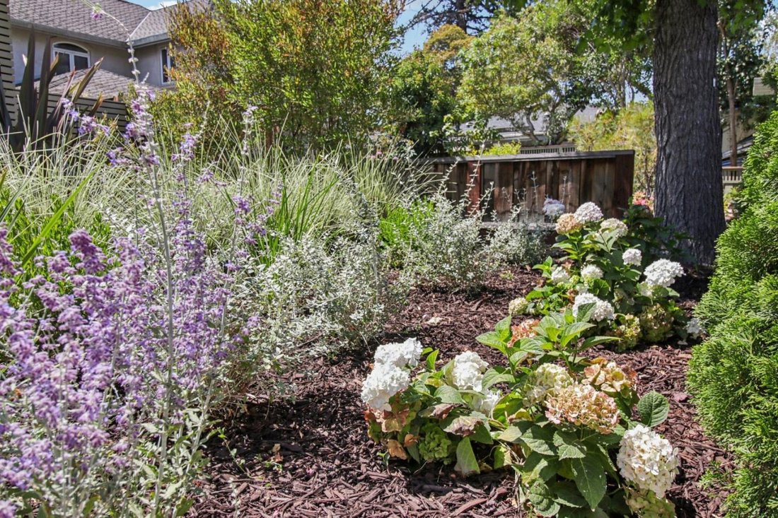 House in East Palo Alto, California, United States 4 - 18690622