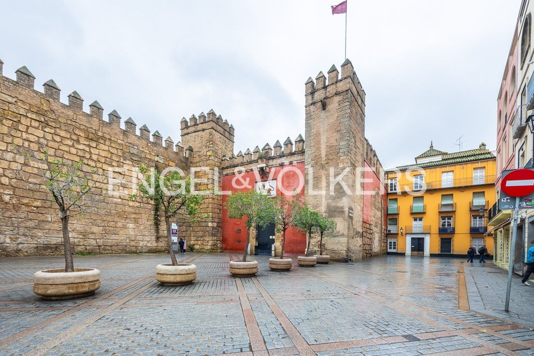 Wohnung in Casco Antiguo, Sevilla, Spanien 1 - 17136098