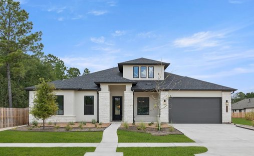 House in Montgomery, Texas, United States 1
